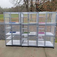 Load image into Gallery viewer, Kitty Condo Model 390