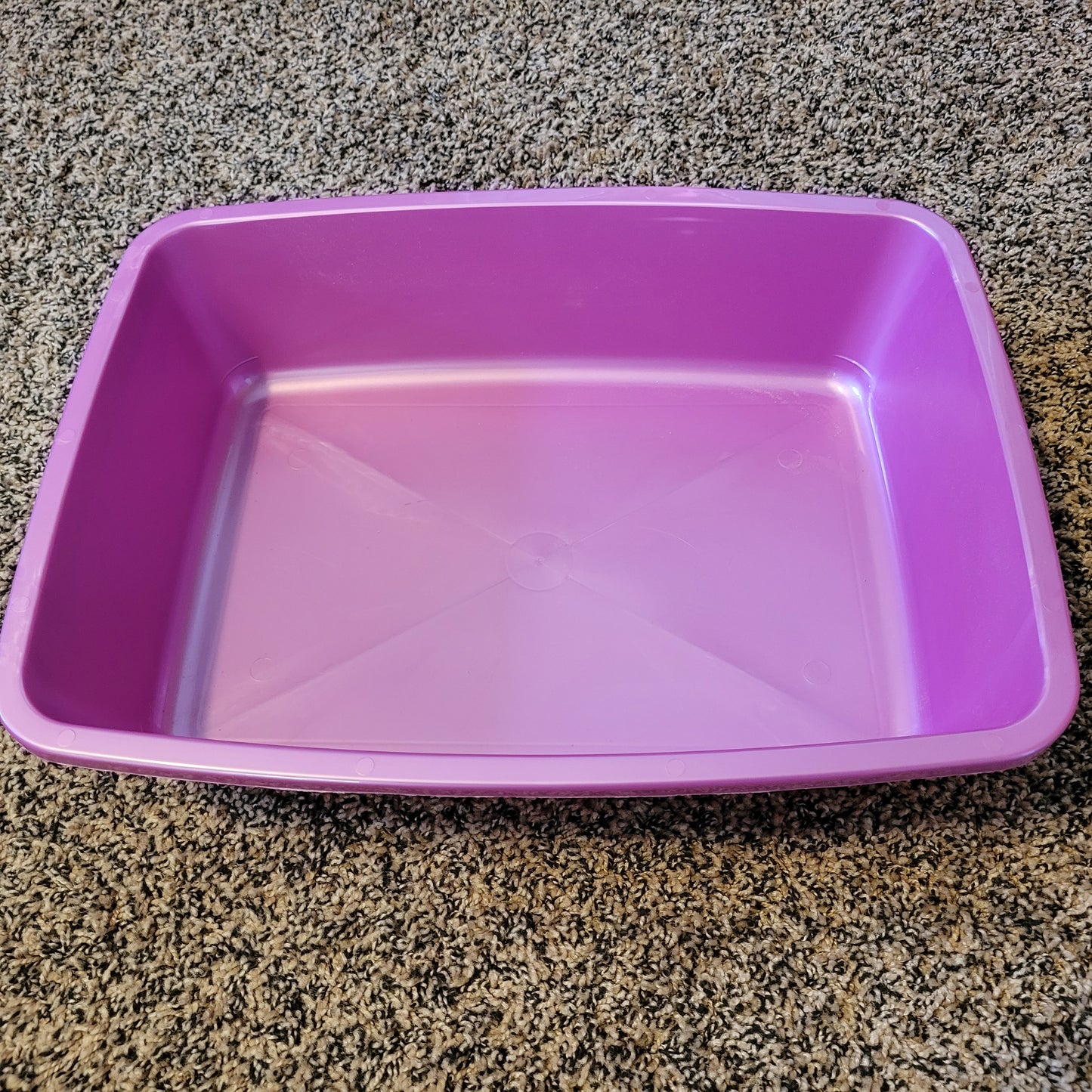 Case of 12 Litter Pans (Medium)