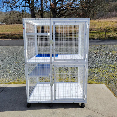 Find the Best Small Animal Cages for the Little Pets in Your Home