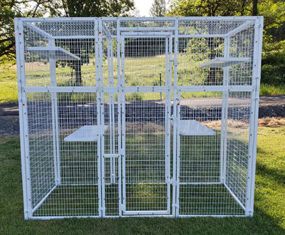 The MyPetCages.com Holiday Gift Guide — What to Know to Welcome a New Family Member This Holiday Season