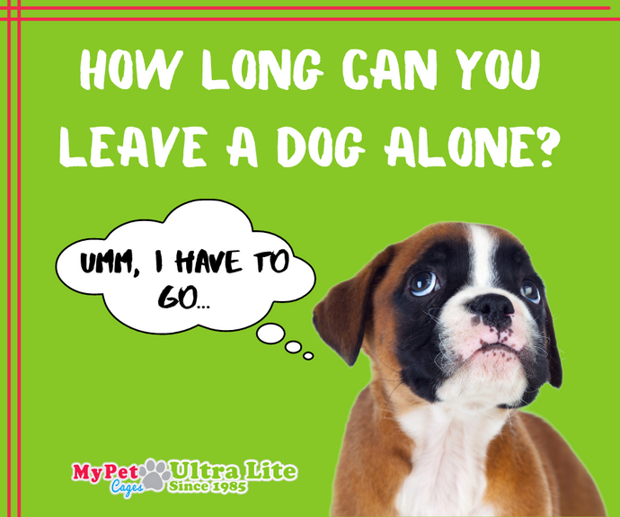 How Long Can You Leave a Dog Alone?