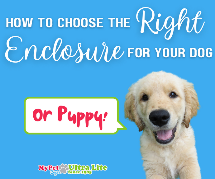 How to Choose the Right Dog Enclosure for Your Dog