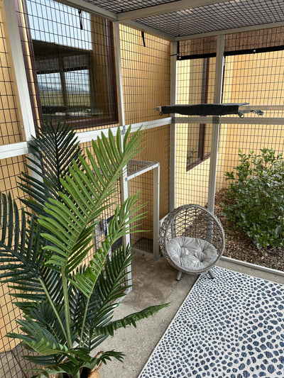 We built another Custom Catio!