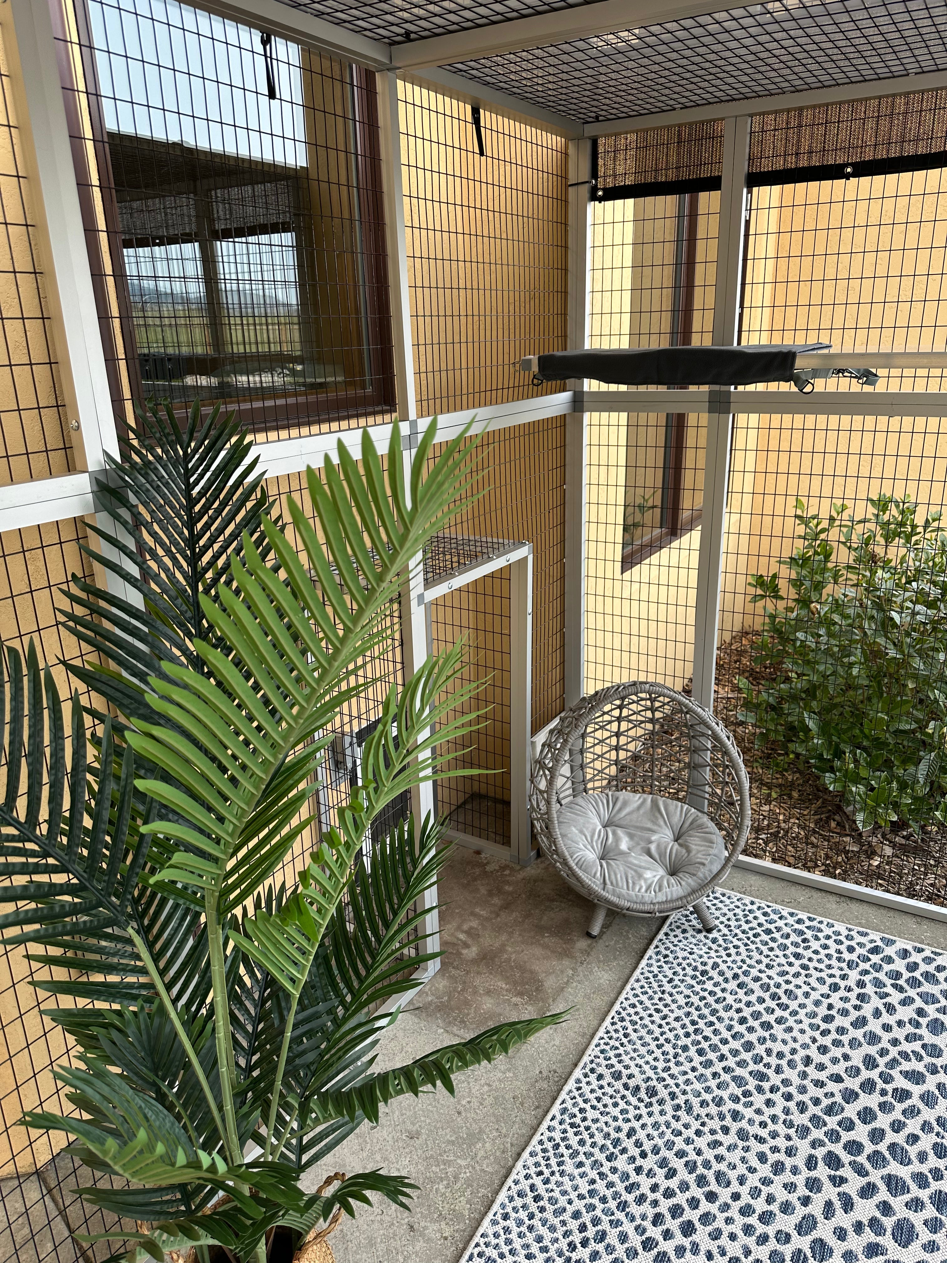 We built another Custom Catio!