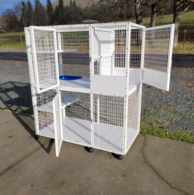The Perfect Outdoor Cat Enclosure