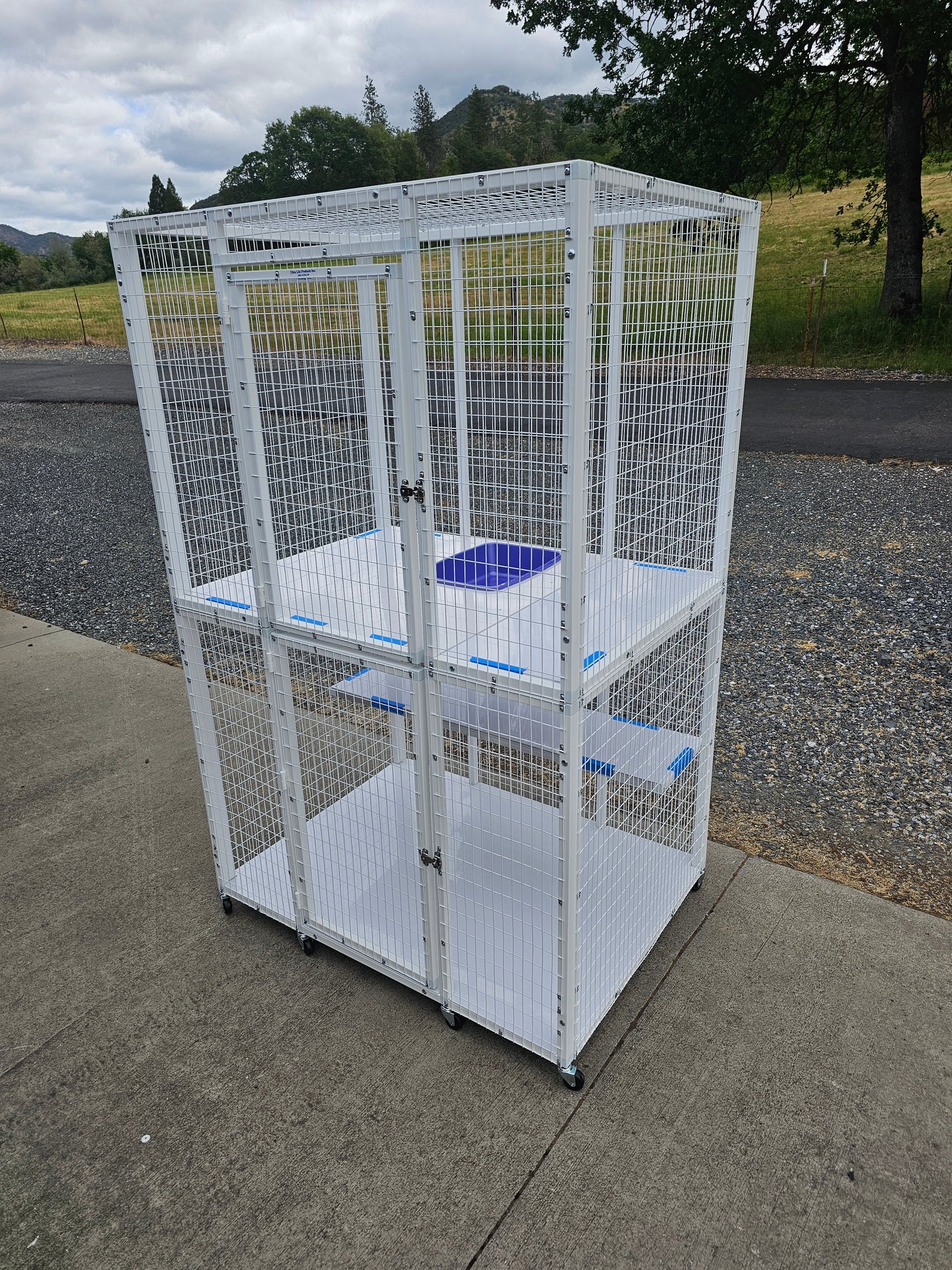 KITTY CONDO MODEL 515