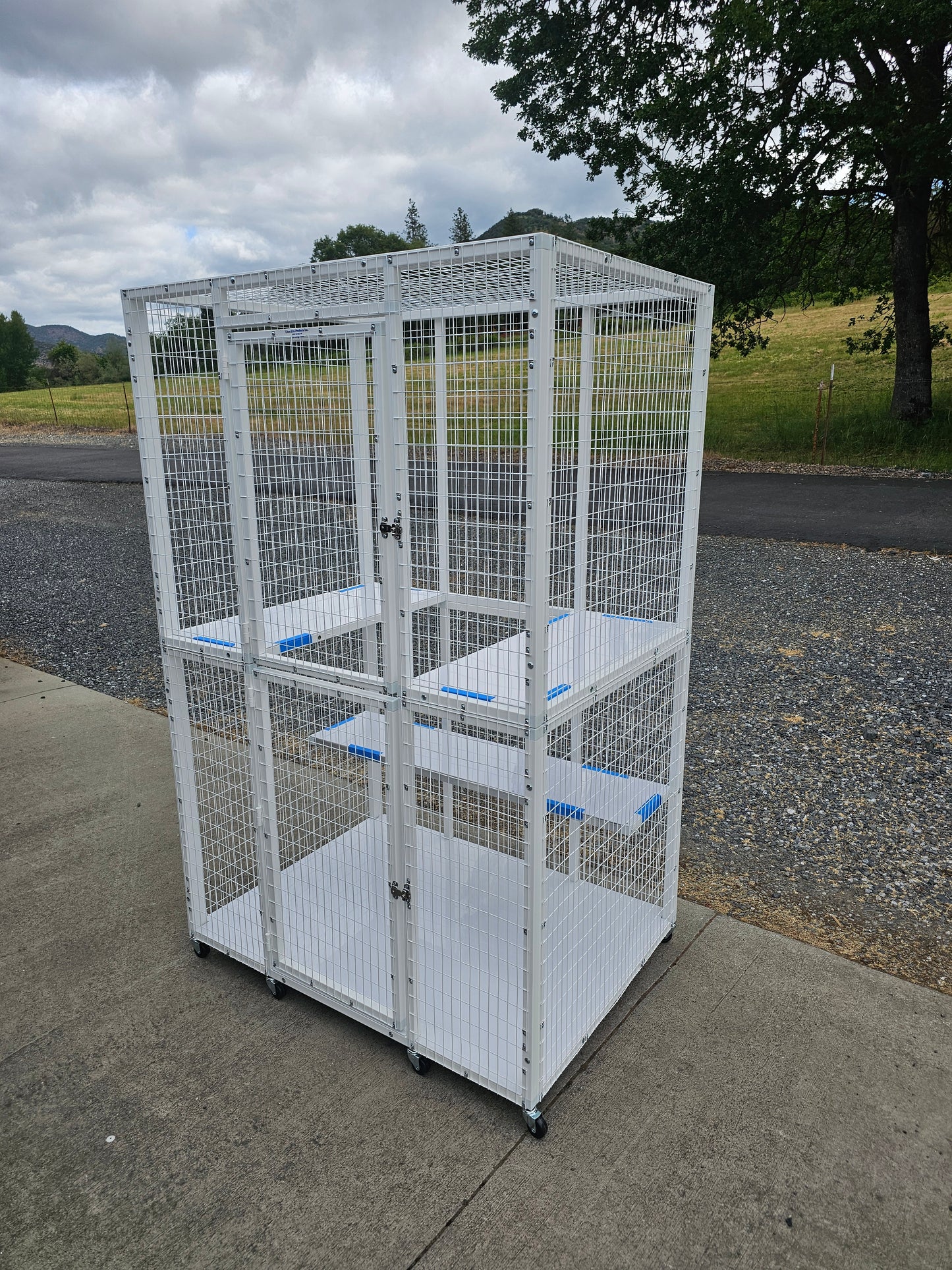 KITTY CONDO MODEL 515