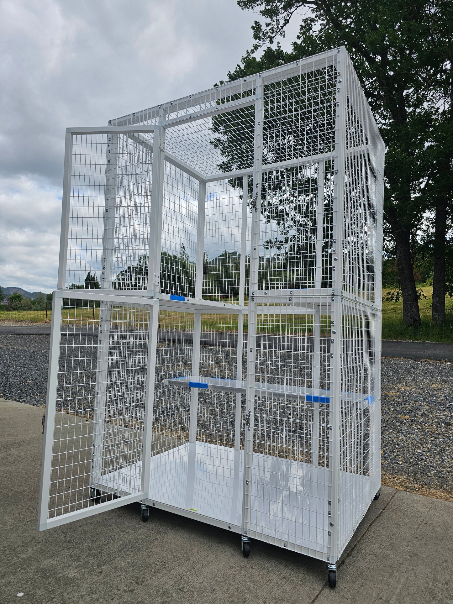 KITTY CONDO MODEL 515