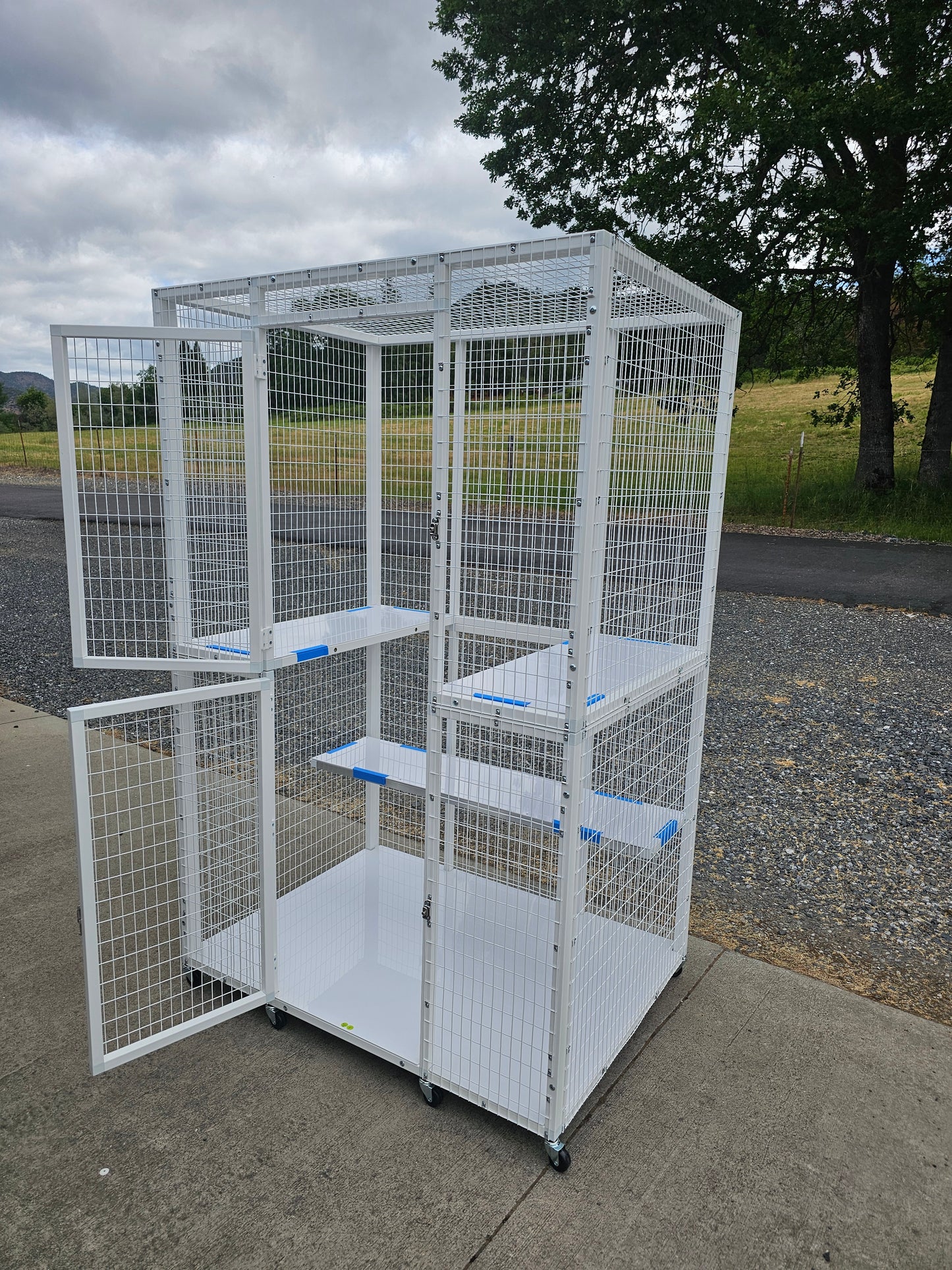 KITTY CONDO MODEL 515