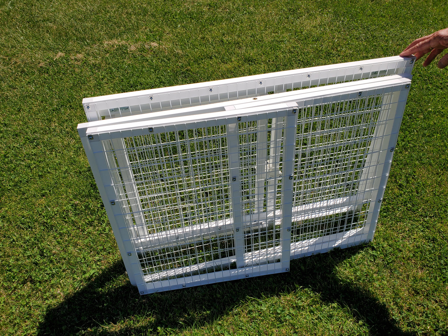 SHOW CAGE MODEL 210