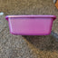 Case of 12 Litter Pans (Medium)