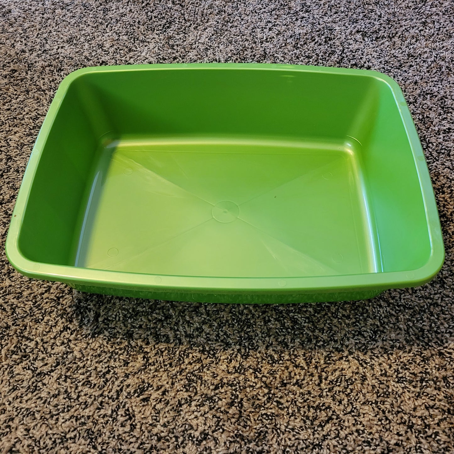 Litter Pan (Medium)
