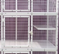 KITTY CONDO MODEL 935