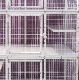 KITTY CONDO MODEL 935